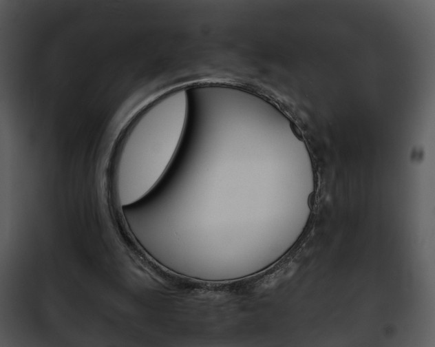 X0000101960247200807180709