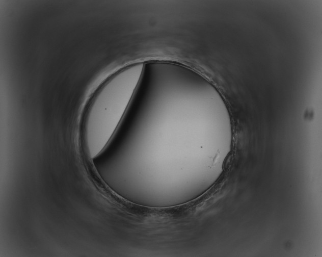 X0000101960248200807180709