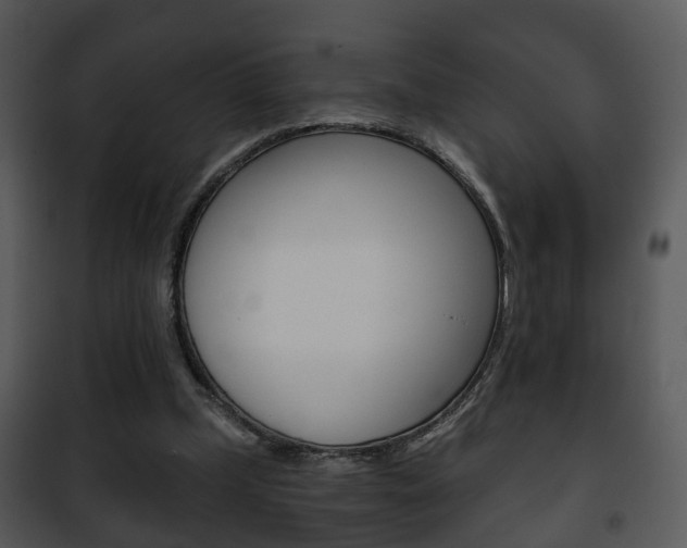 X0000101960249200807180709