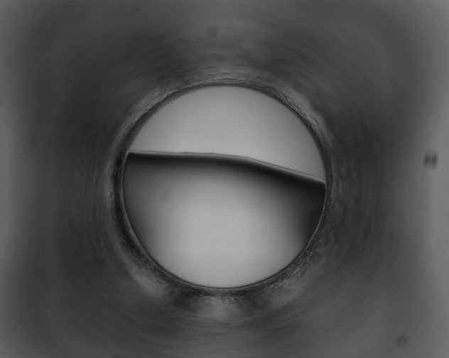 X0000101960250200807180709