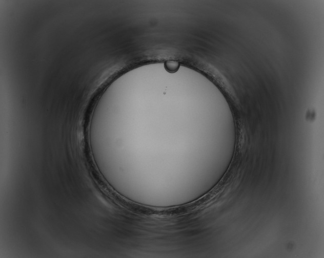 X0000101960251200807180709