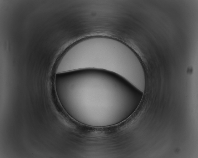 X0000101960252200807180709