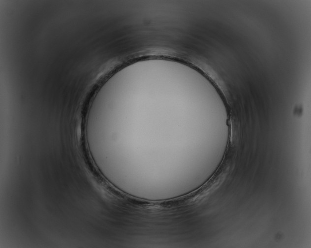 X0000101960253200807180709