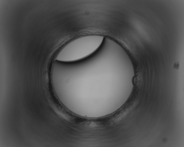 X0000101960254200807180709