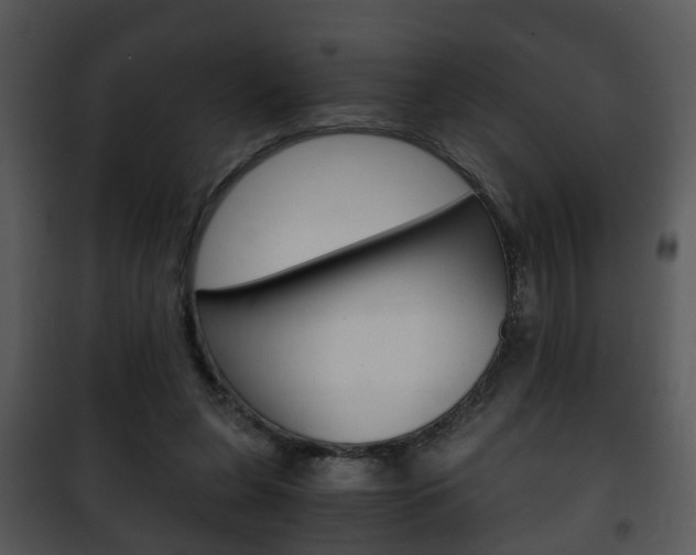 X0000101960255200807180709