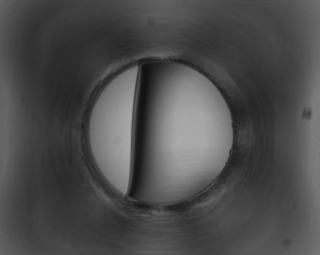 X0000101960256200807180709