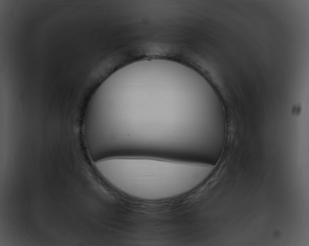 X0000101960257200807180709