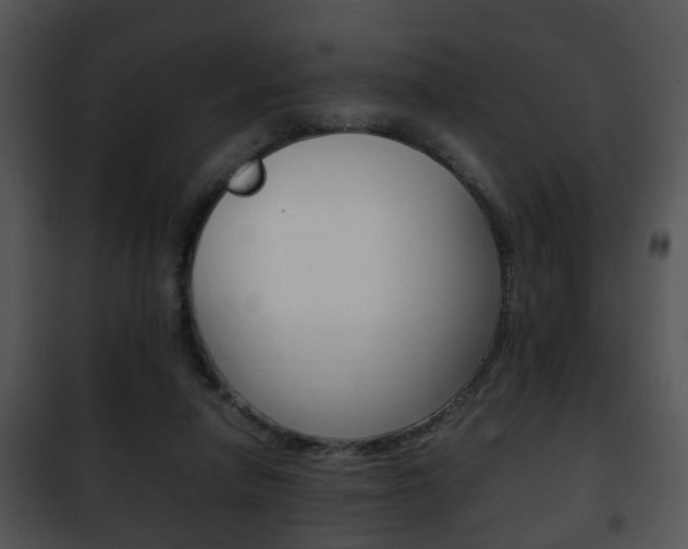 X0000101960258200807180709