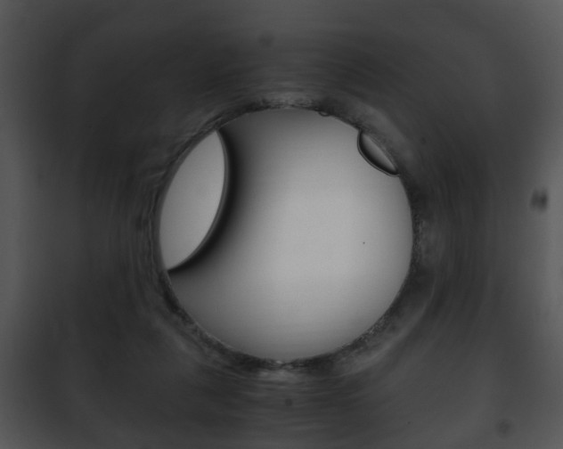 X0000101960259200807180709