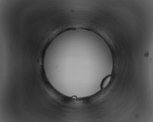 X0000101960260200807180709