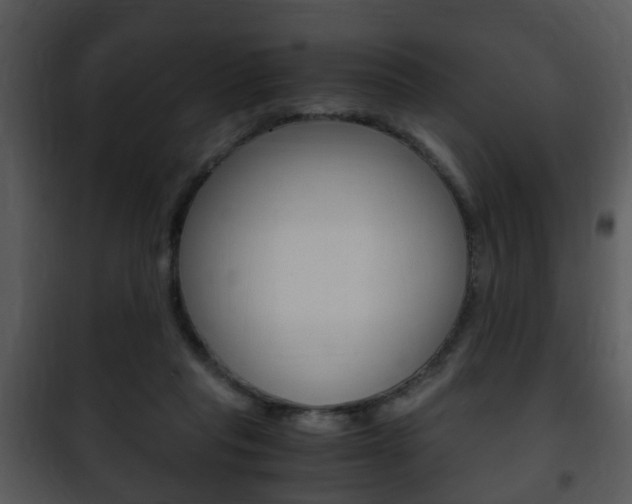 X0000101960261200807180709