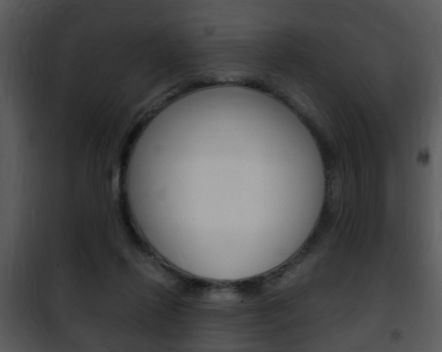 X0000101960262200807180709