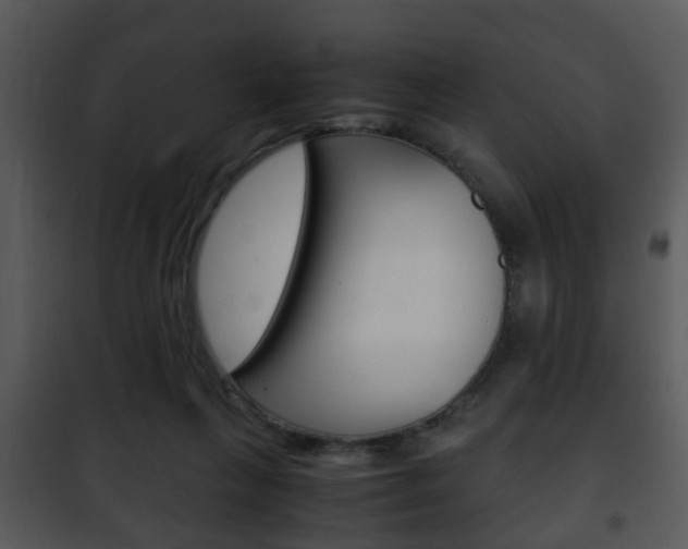 X0000101960263200807180709