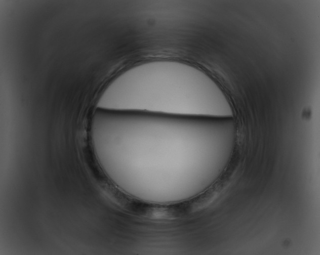 X0000101960264200807180709