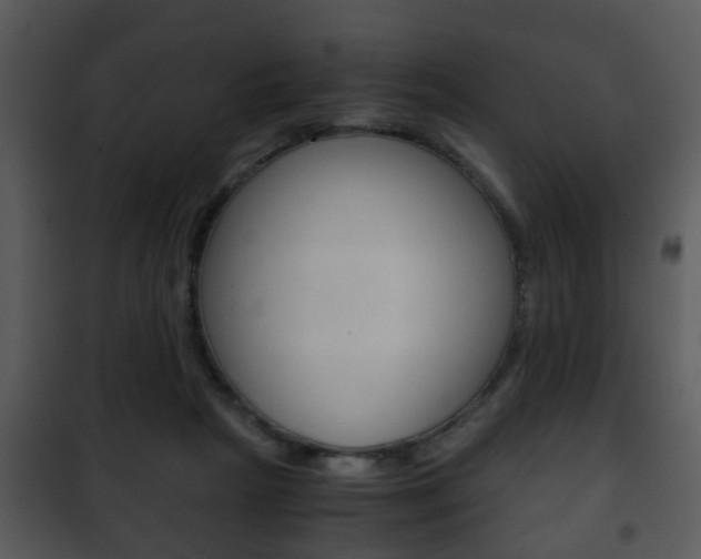 X0000101960265200807180709