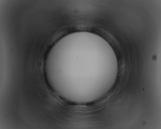 X0000101960266200807180709