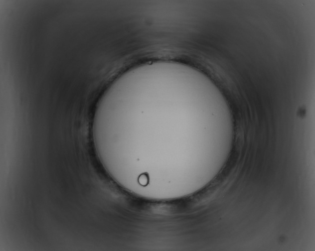 X0000101960268200807180709