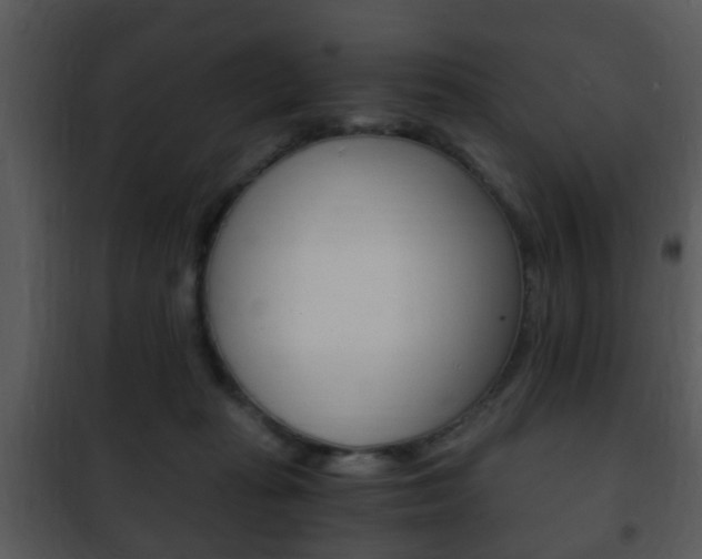 X0000101960269200807180709