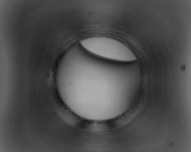X0000101960270200807180709