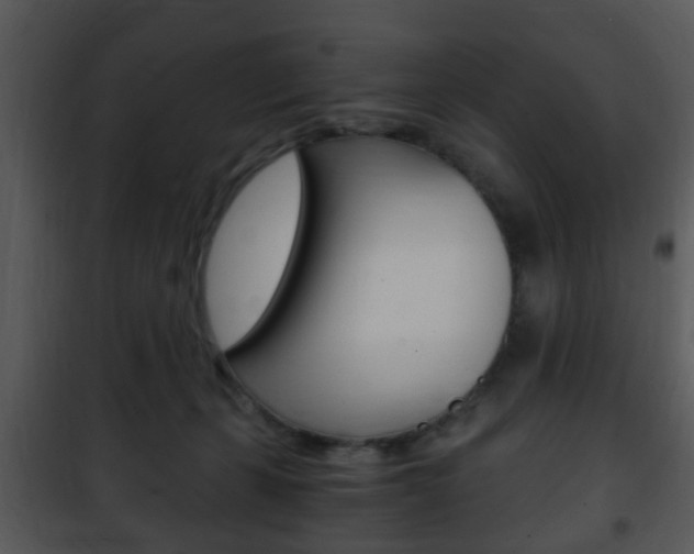 X0000101960271200807180709