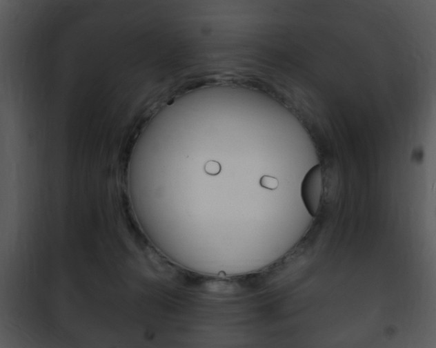 X0000101960272200807180709