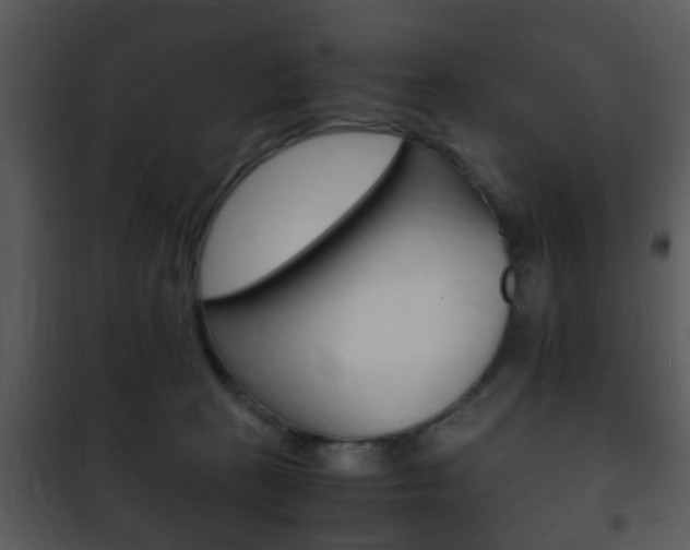 X0000101960273200807180709
