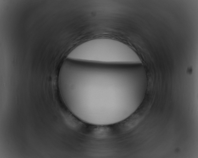 X0000101960274200807180709