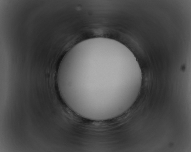 X0000101960275200807180709