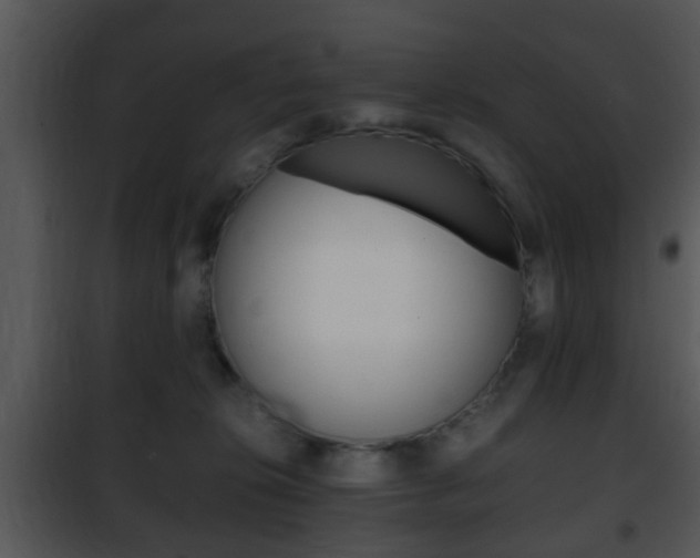 X0000101960276200807180709