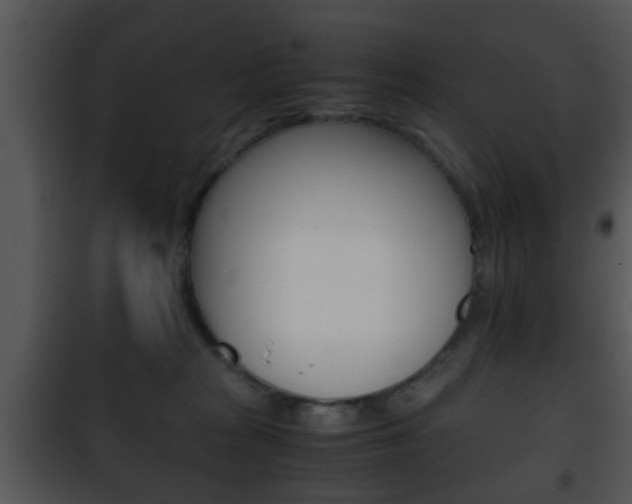 X0000101960277200807180709