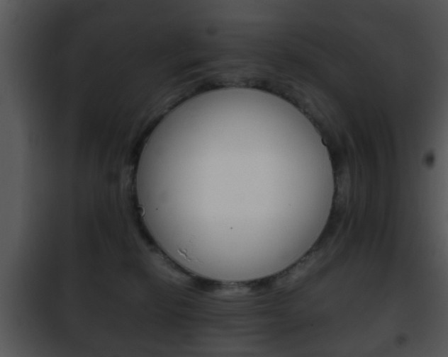 X0000101960278200807180709
