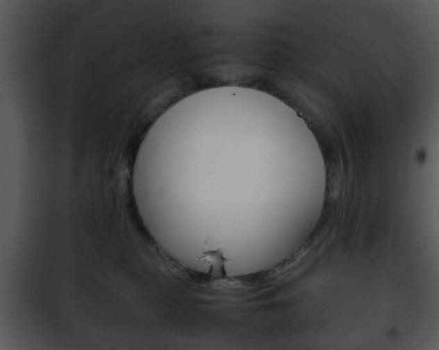 X0000101960279200807180709