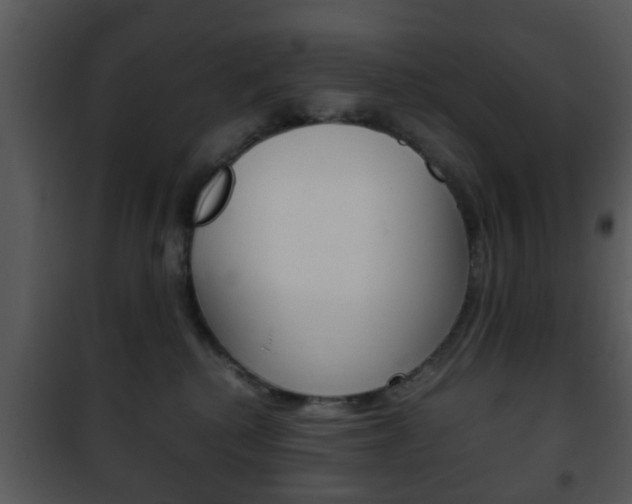 X0000101960280200807180709