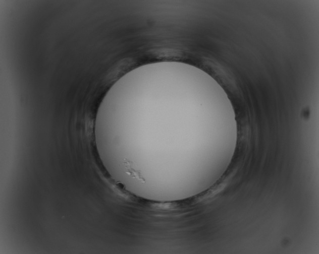 X0000101960281200807180710