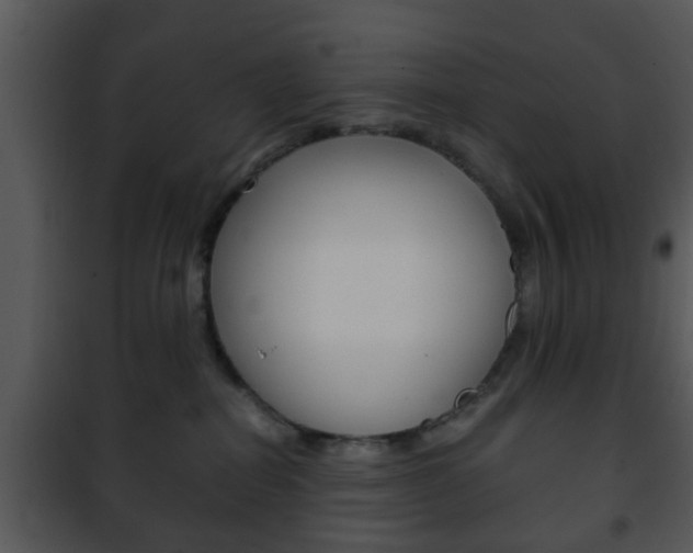 X0000101960282200807180710