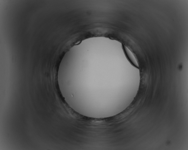 X0000101960283200807180710