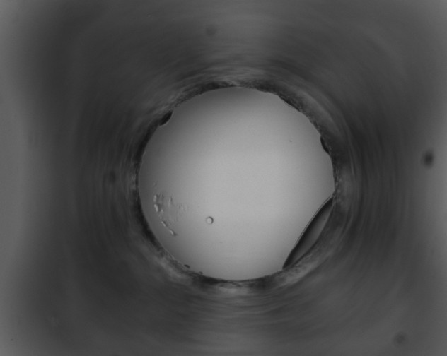 X0000101960284200807180710