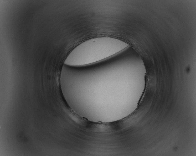 X0000101960286200807180710