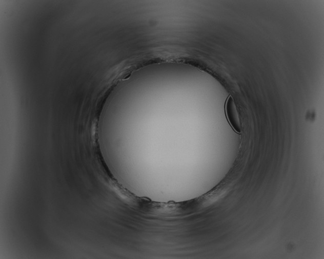X0000101960288200807180710