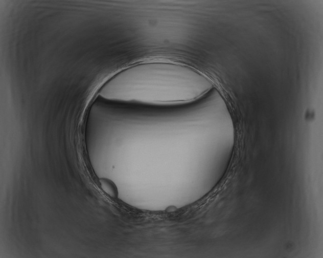 X0000101960289200807180709