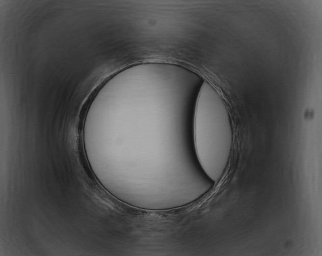 X0000101960290200807180709