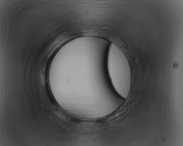 X0000101960291200807180709