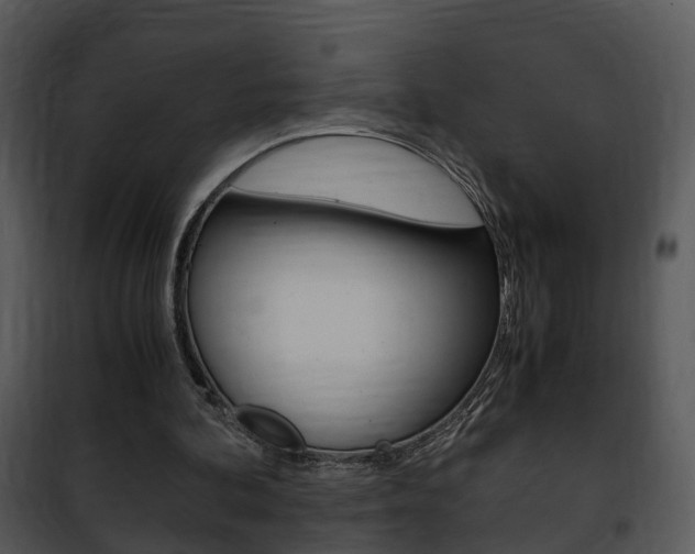 X0000101960292200807180709