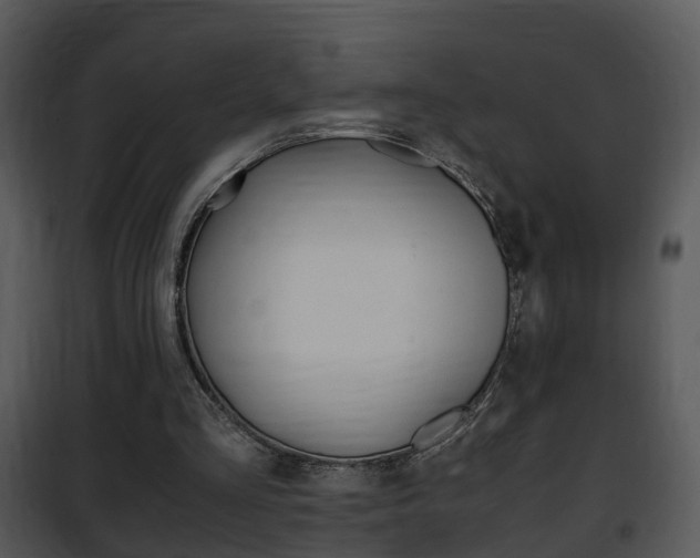 X0000101960293200807180709