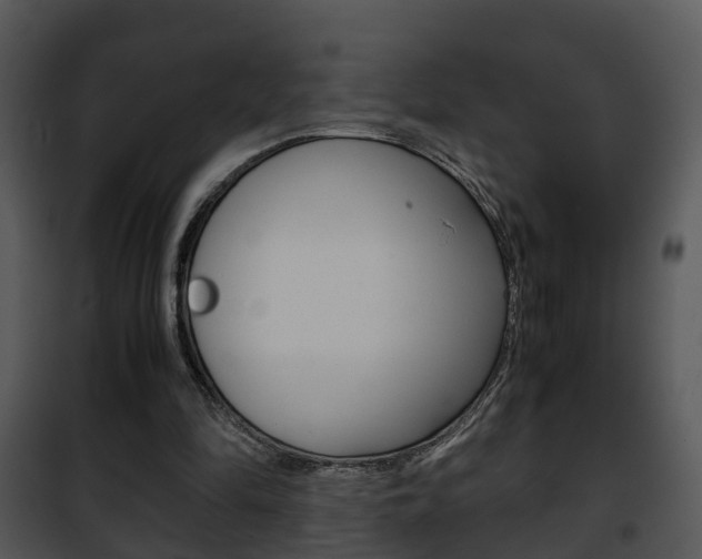 X0000101960294200807180709