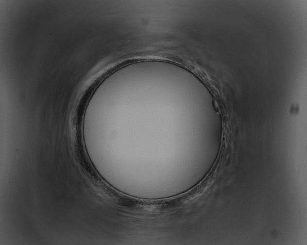 X0000101960295200807180709