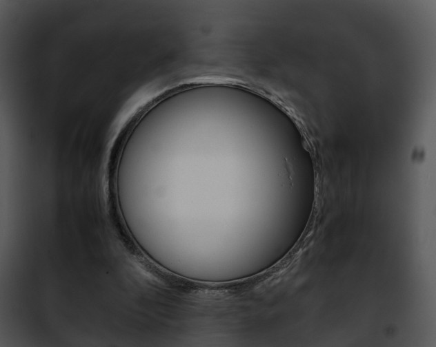 X0000101960296200807180709