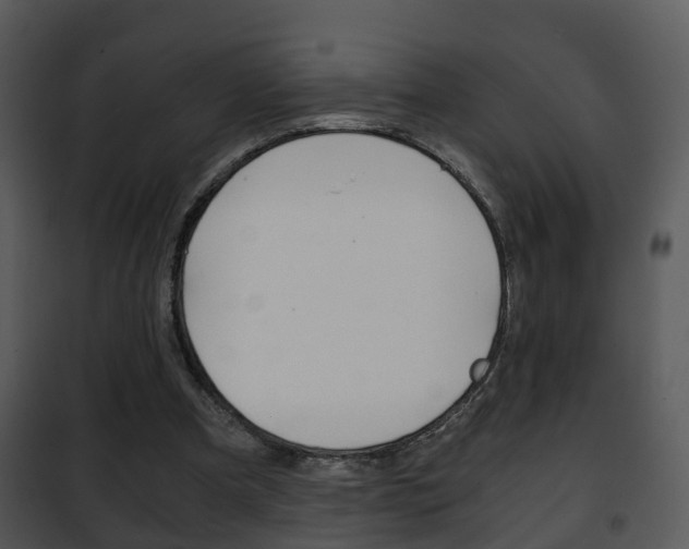 X0000101960297200807180709