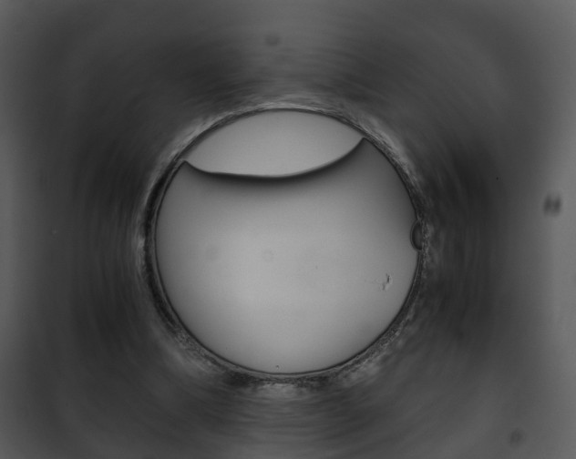 X0000101960298200807180709