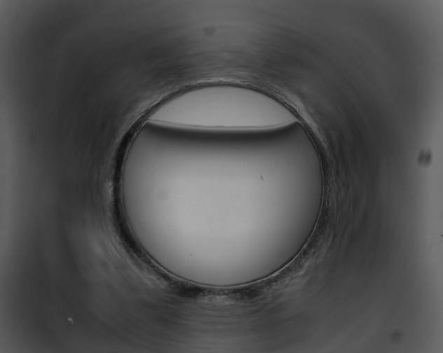 X0000101960299200807180709